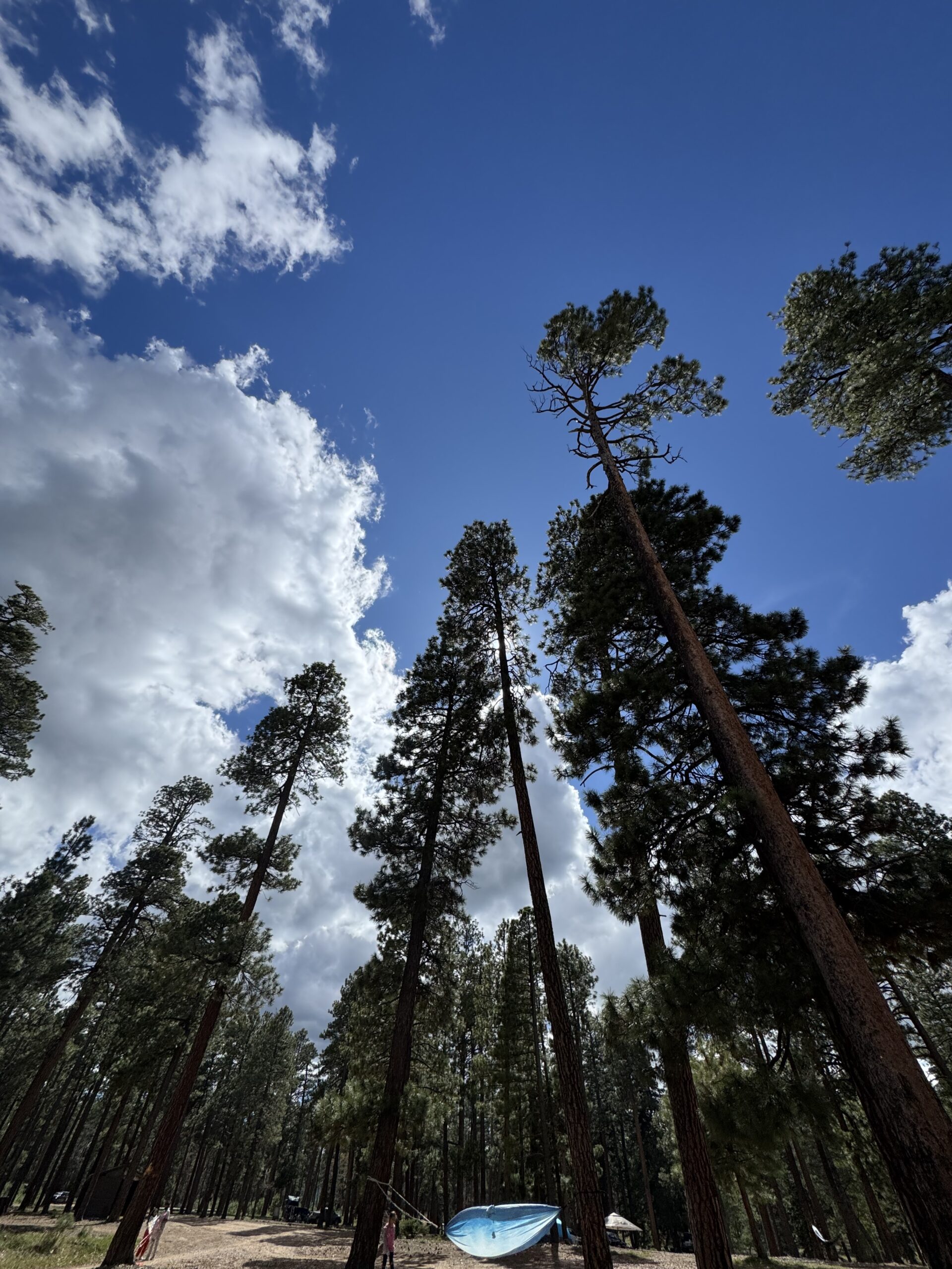 Through The Eye Of The Divorce – Am I Okay?